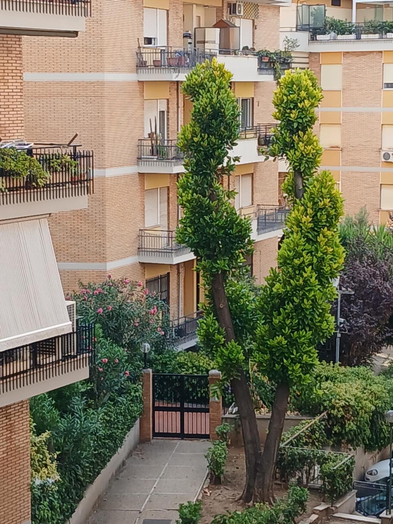 La Casa Di Antonella E Giuseppe Apartman Róma Kültér fotó